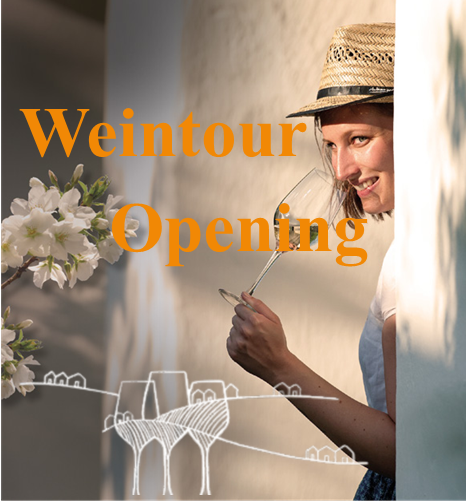 e02d59dd-0da9-b151-d645-b71b805e765e